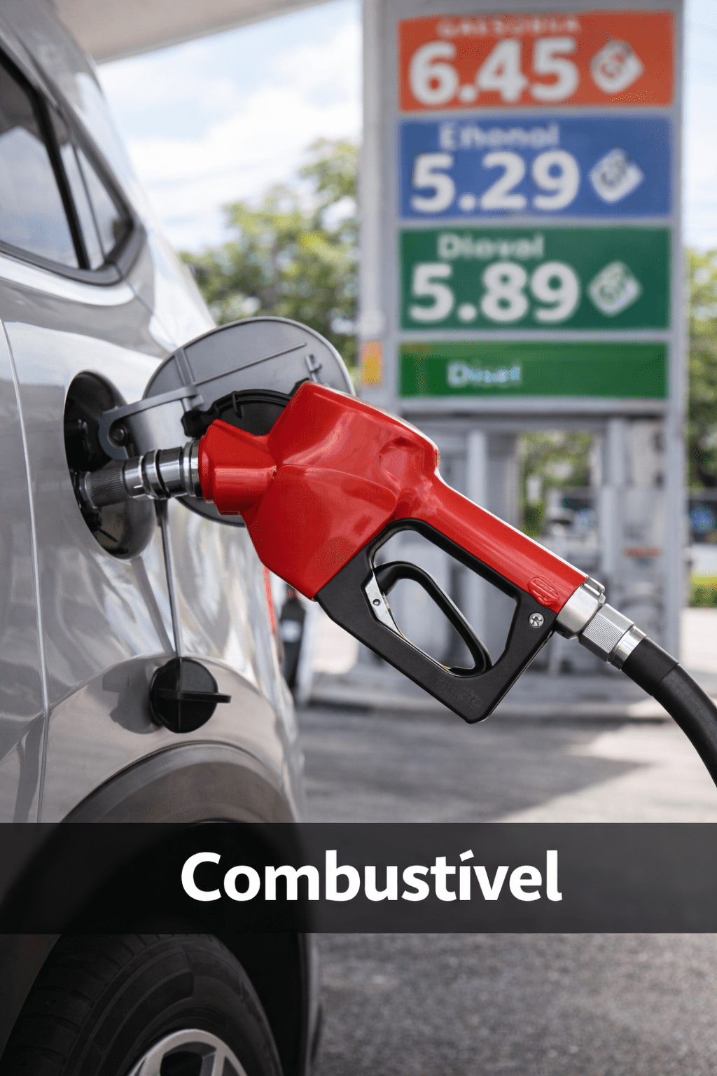combustiveis